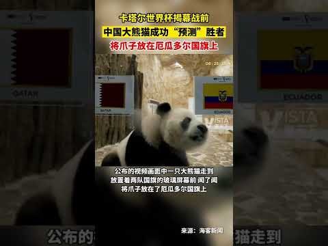 皇家社会击,败比利亚雷,亚尔夺冠,500比分官网,体育赛事比分,足球篮球赛事比分,赛事数据平台,体育赛事资讯